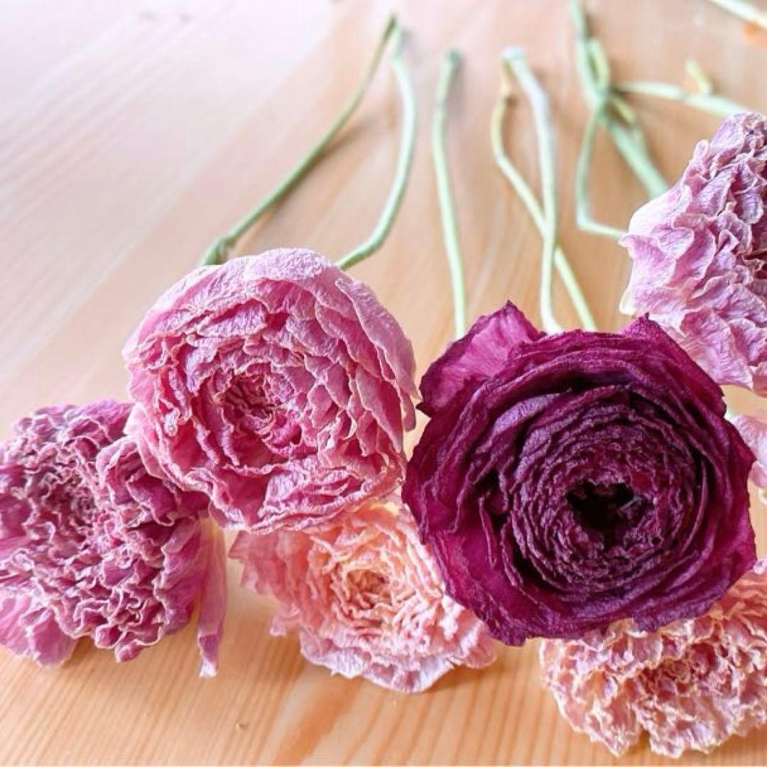 ラナンキュラス❇️大人カラー❣️