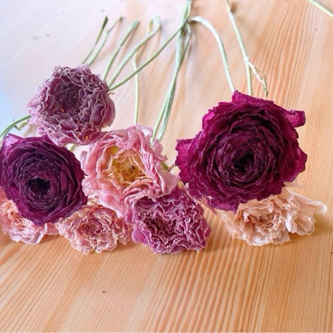 ラナンキュラス❇️大人カラー❣️