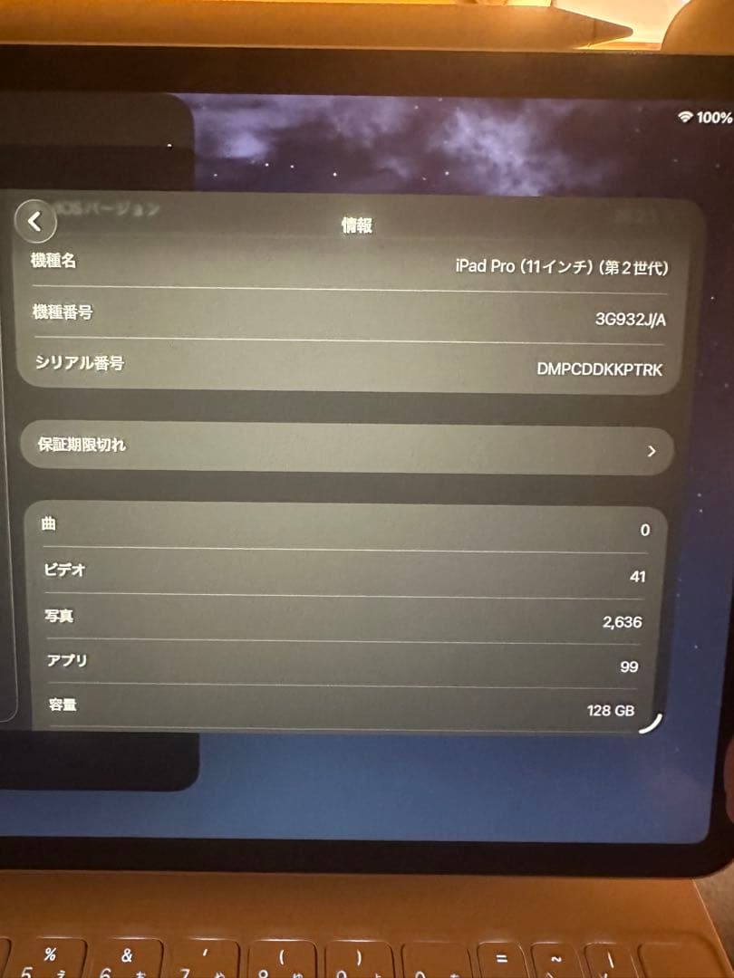 Apple iPad Pro (11インチ) 第2世代 128GB セット販売