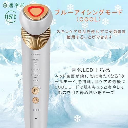 BOJNGEWIN 温冷美顔器 イオン導出 イオン導入 表情筋 リフトケア 毛A