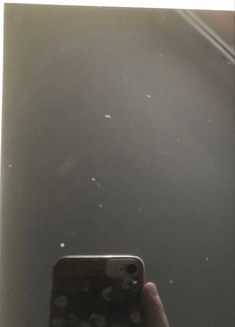 【早い者勝ち】iPad Pro 10.5 256GB SIMフリー【すぐ発送】