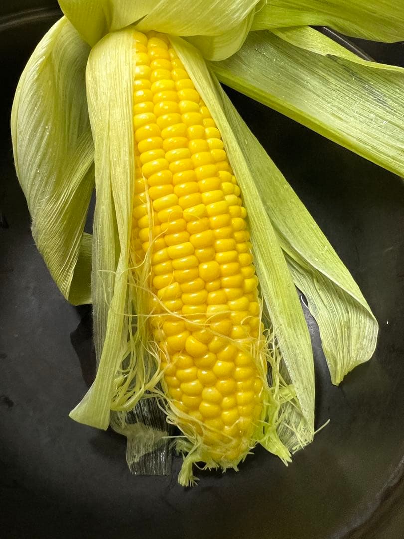 【新品売れ筋！】マイクロ波対策！電子レンジ専用Mサイズ。ご飯が美味い!2合OK！