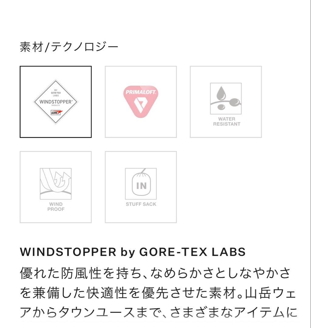 美品ノースフェイスGTX アクショニン サレード ジャケット XLブラック