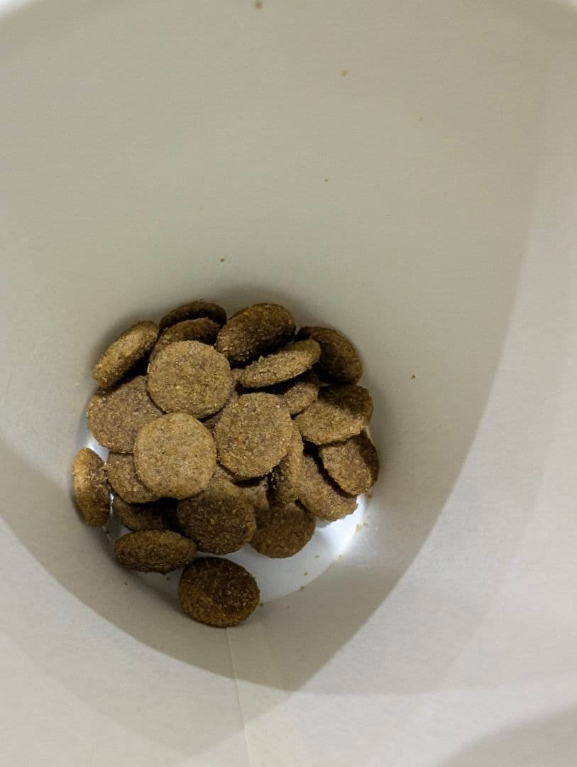 ファーストチョイスドッグフード ドライフード 18kg 成犬用