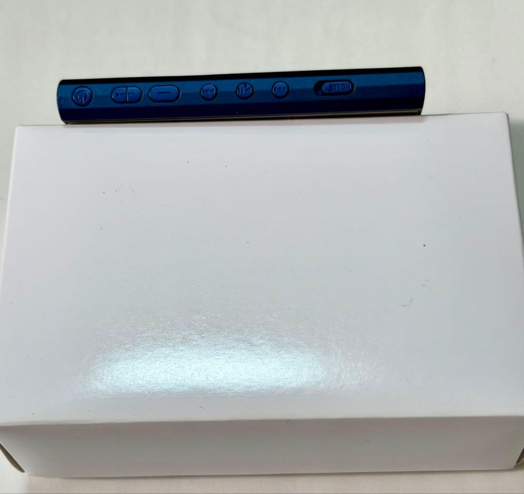 SONY NW-A306ウォークマン 32GB 純正ケース、画面保護シート付き