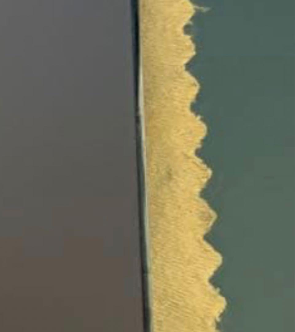 Apple iPhone 14 Pro ディープパープル 256GB ケース付き