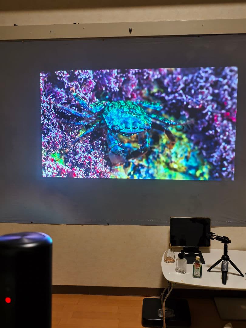 多少の傷はありますが、100%完全に機能します