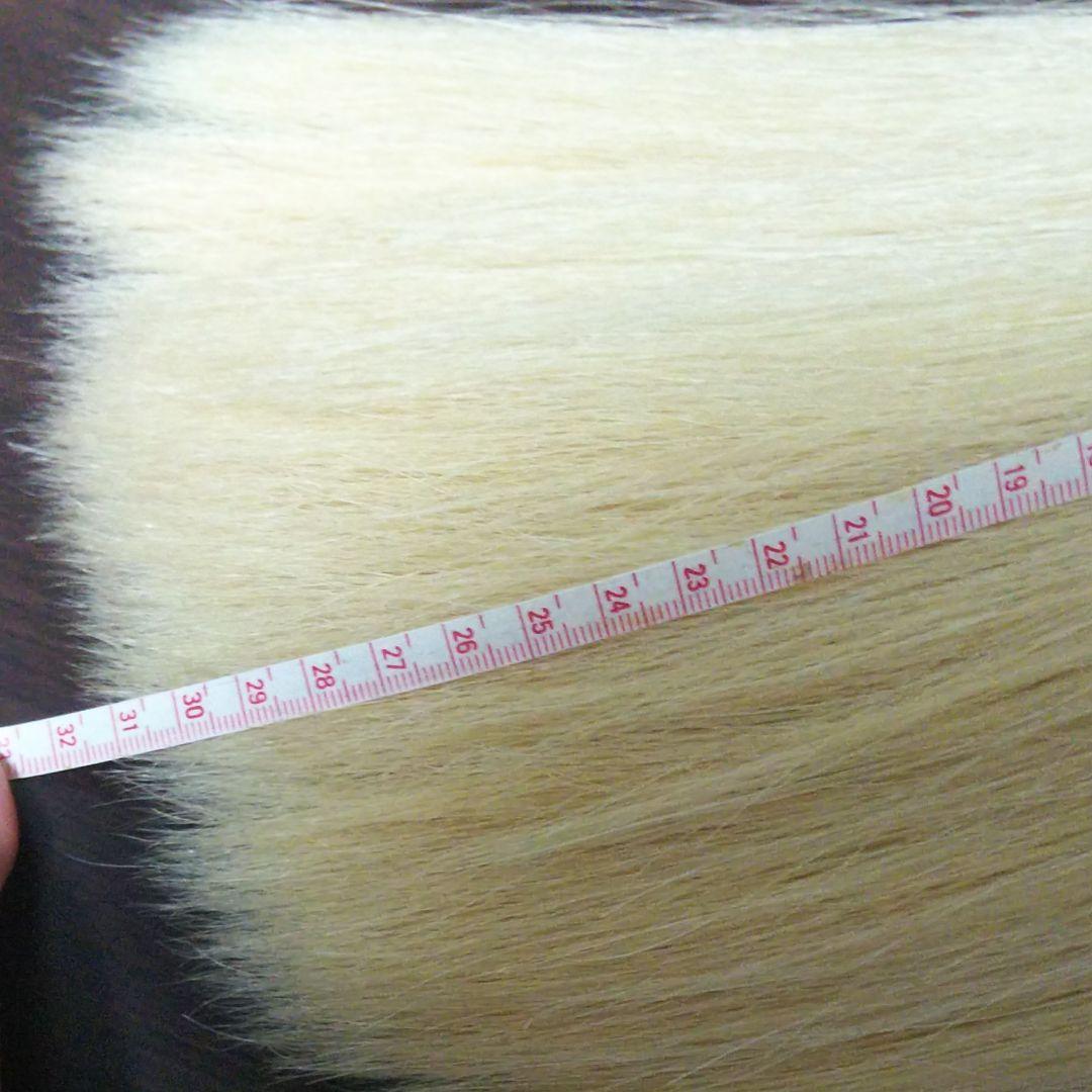 未使用 書道筆 筆 大筆 パフォーマンス 玉史堂 白天馬 墨香