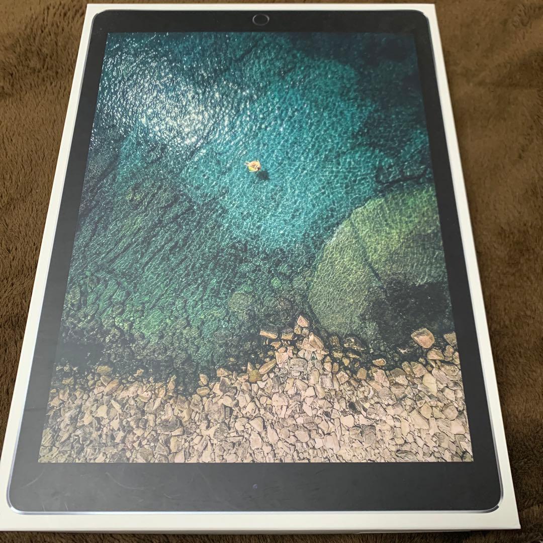 iPad Pro 12.9インチ256GB Wifi+cellular
