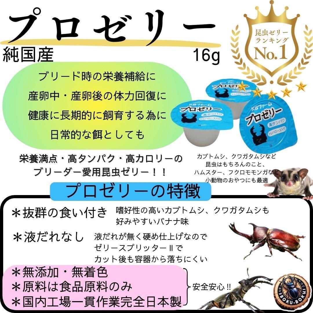 国産プロゼリー1500個KBファーム・カブトムシ　クワガタ 【木ぼく】