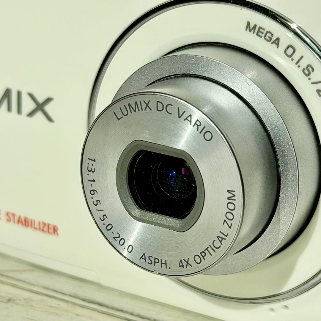 Panasonic「LUMIX S」DMC-S1