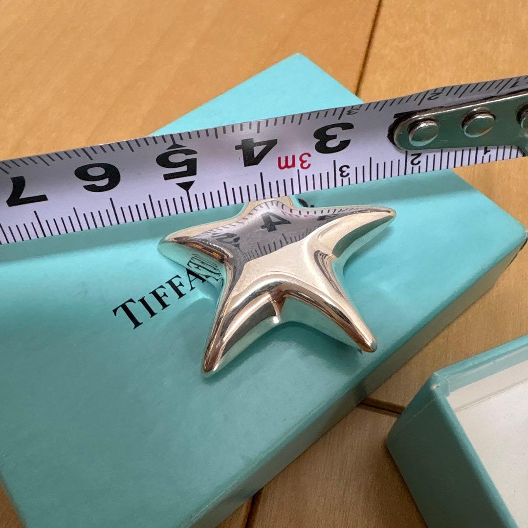 ル*ト様 Tiffany & Co.ティファニースターフィッシュ星ブローチ 92