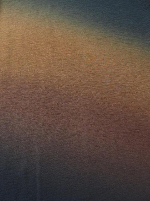 新古品！大塚織元＊通産大臣賞受賞＊暁雪＊渋ハデ＊訪問着＊１６４ｃｍ＊裄６７