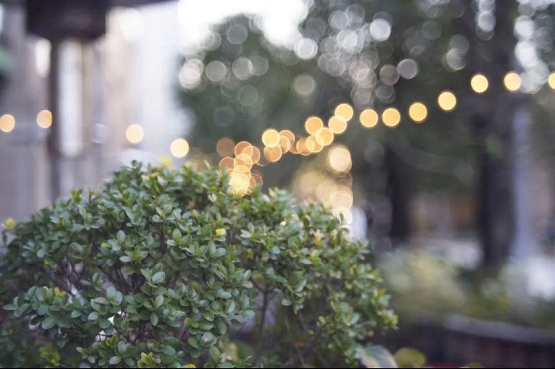 FUJINON 55mm f2.2 m42マウント