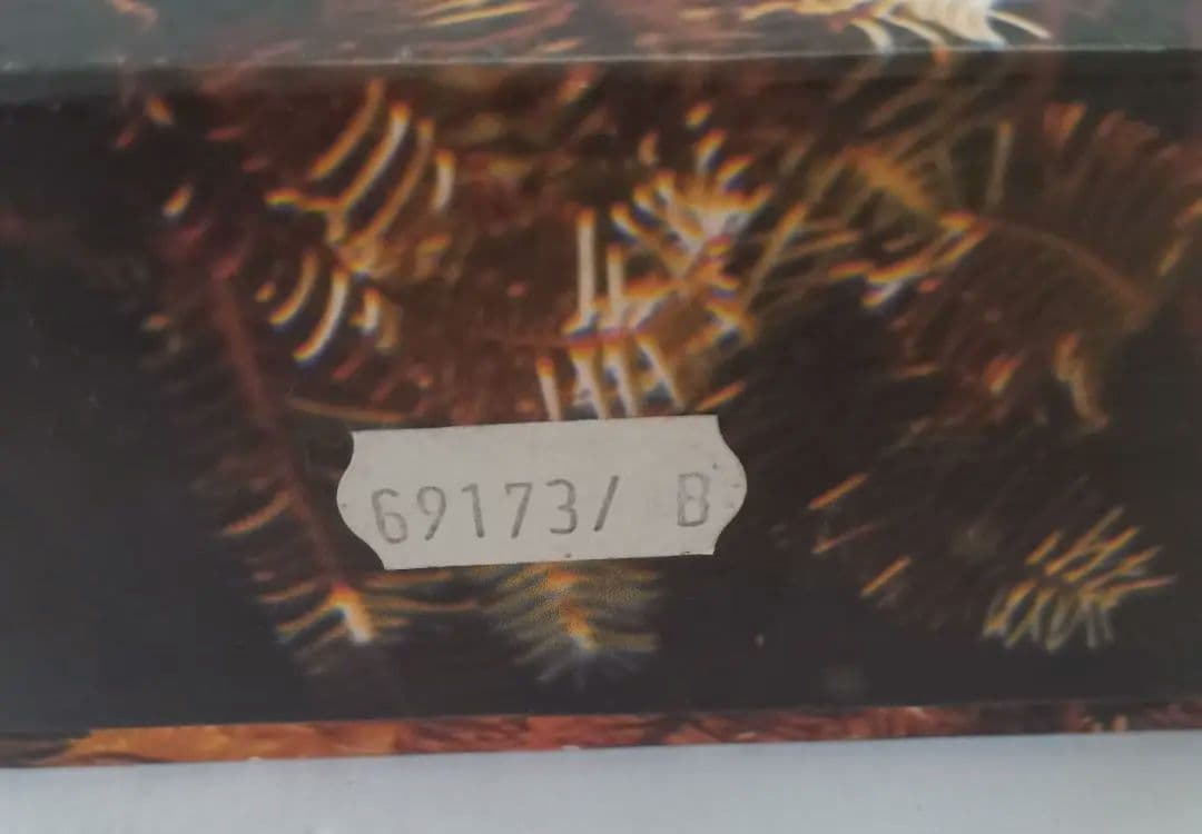 ロレックス　空箱