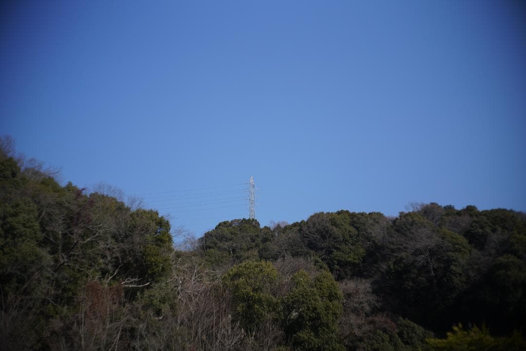 CANON LENS 35mm F2.8 L39 箱付