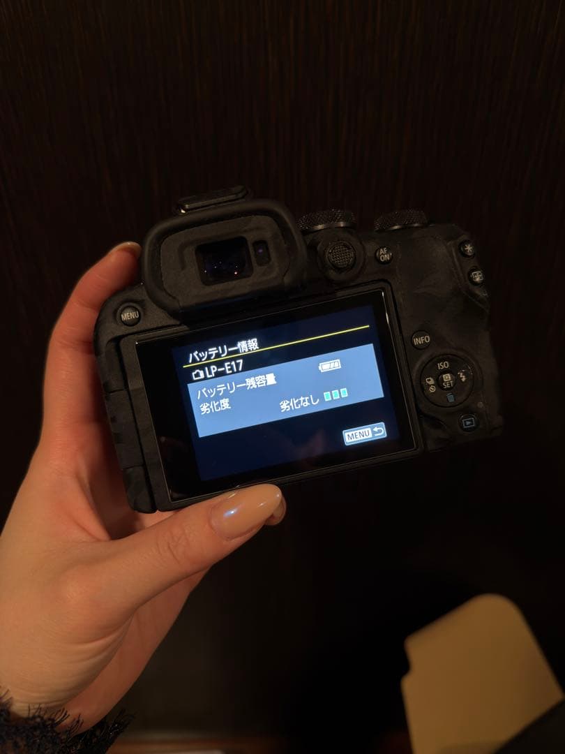 【極美品】Canon EOS R10 レンズキット+おまけ付き