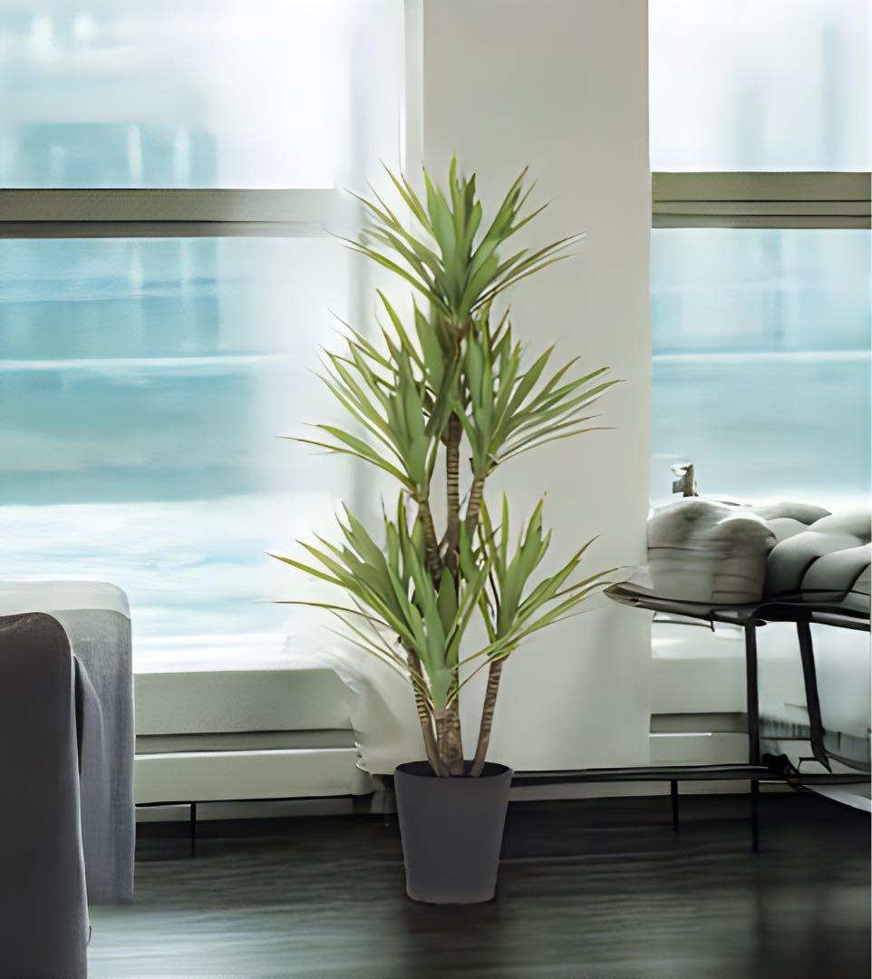 光触媒　人工観葉植物　ウォールグリーン　フェイクグリーン　アガベプラント110