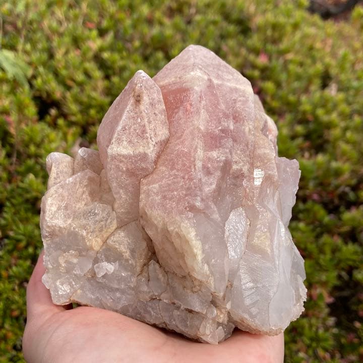 ドリームシクルレムリアンシード クラスター 原石