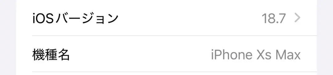 iPhone Xs Max 256GB 画面液晶漏れ？