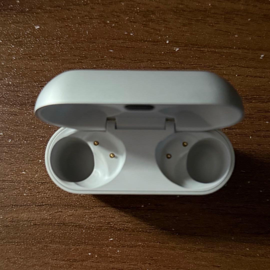 【美品】Technics EAH-AZ100 シルバー 付属品欠けなし