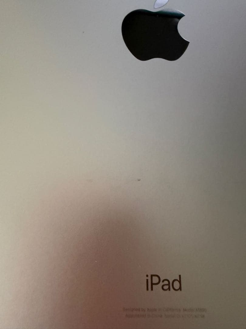 iPad Pro 12.9 第3世代 256GB WiFi + Cellular