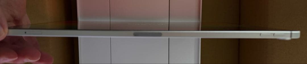 iPad Pro 12.9 第3世代 256GB WiFi + Cellular