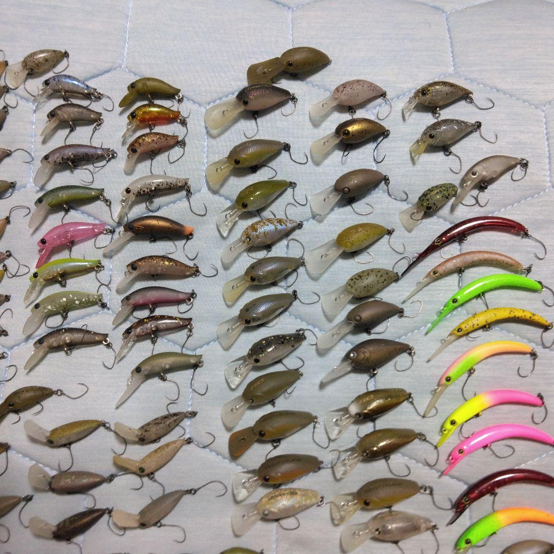 エリアトラウト引退　オリカラ大量　ロデオ、ディスプラウト、ティモン等