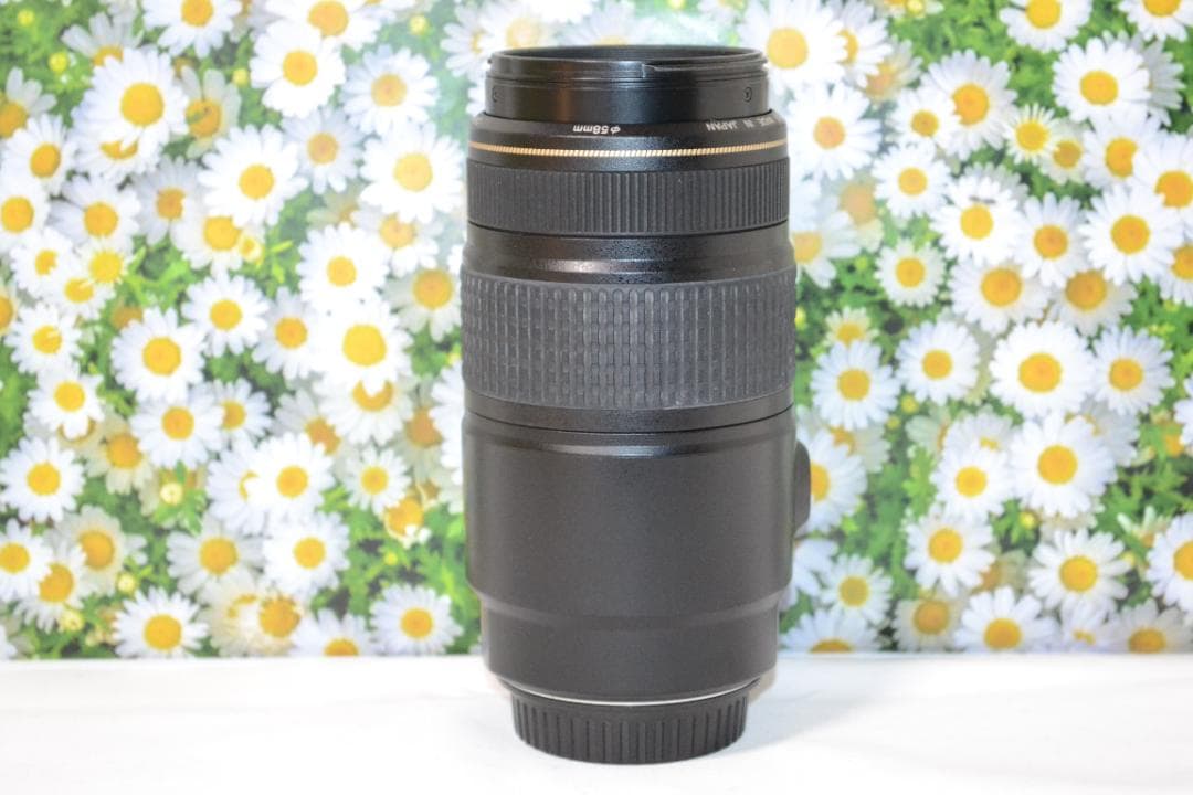 ❤️美品❤️Canon EF 75-300mm IS USM❤️超望遠❤️人気
