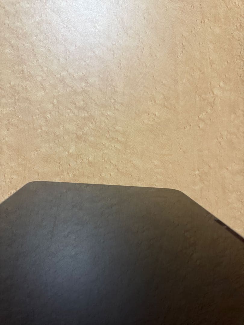 Apple iPad Pro シルバー 本体