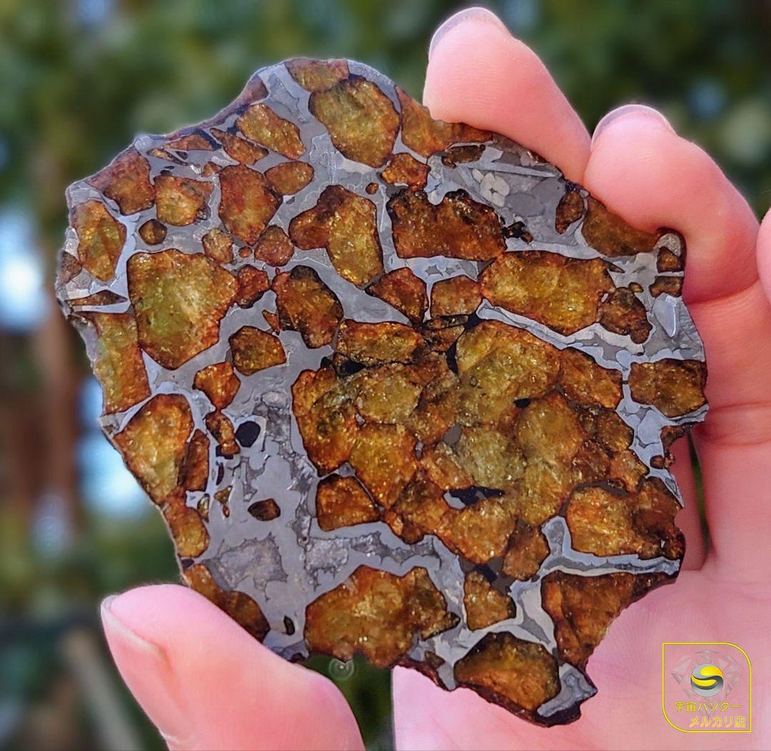 39.65g イミラック パラサイト 隕石 Imilac ⭐