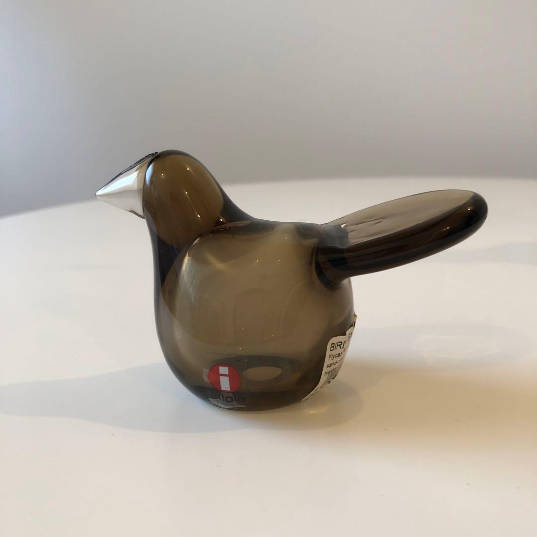 イッタラバード　シエッポ　スコープ