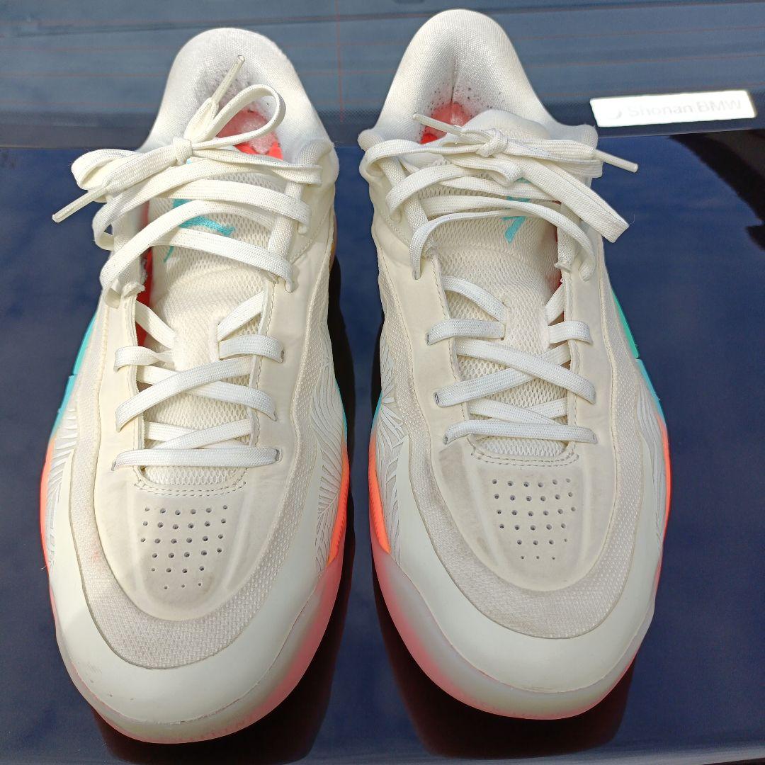 JORDAN ザイオン 4 PF Low Country 30㎝
