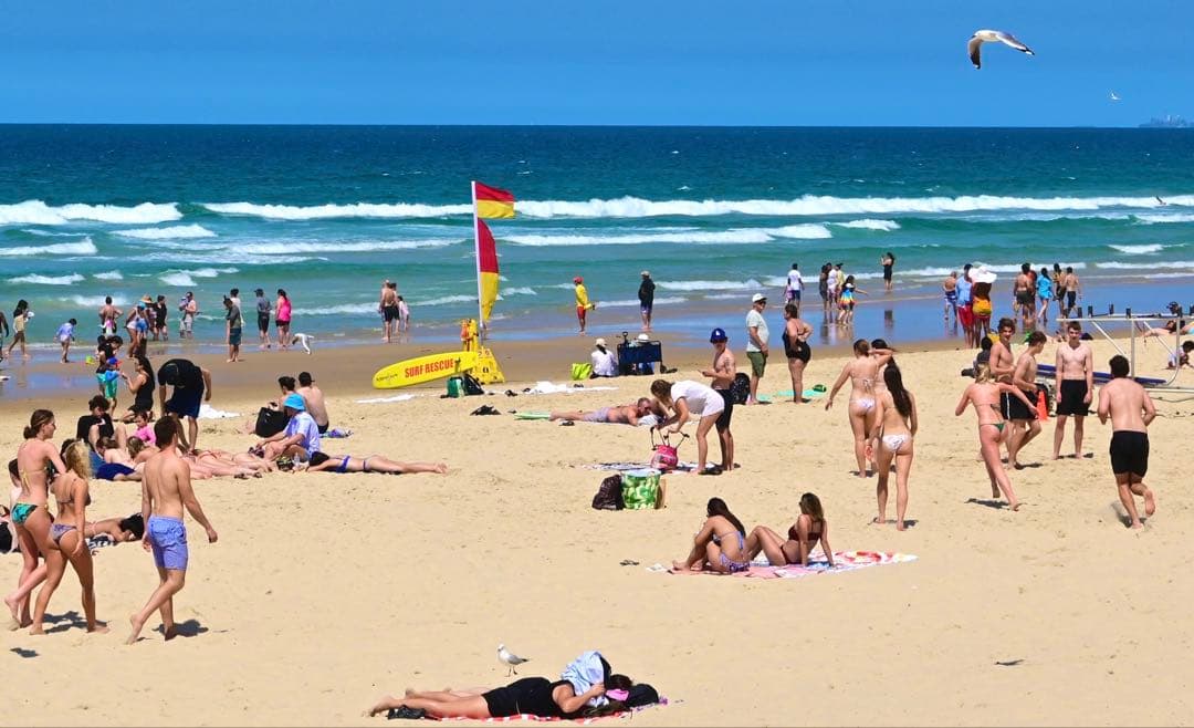 Nikon DX 16-50mm & 50-250mm ズームレンズセット