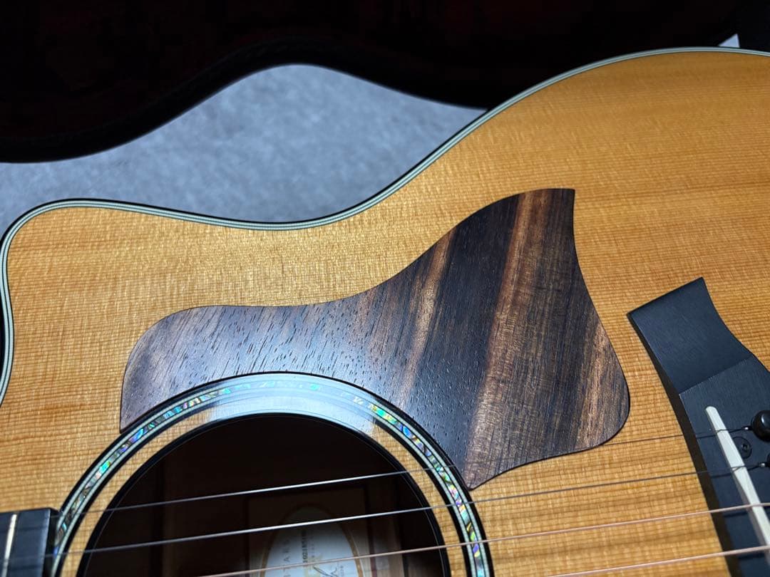 蒲焼き様、専用。Taylor 616ce アコースティックギター ハードケース付