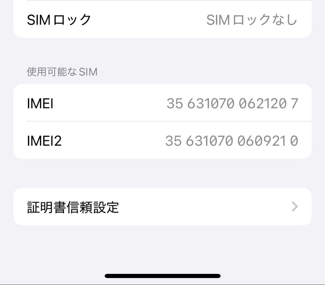 Apple iPhone 13 Pro シエラブルー　 本体