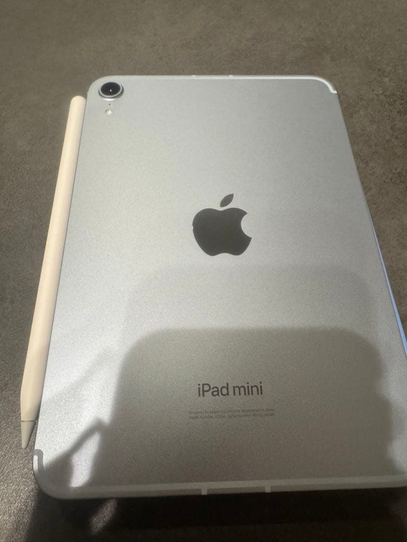 iPad mini セルラー 256 ブルー pencil pro AC＋加入