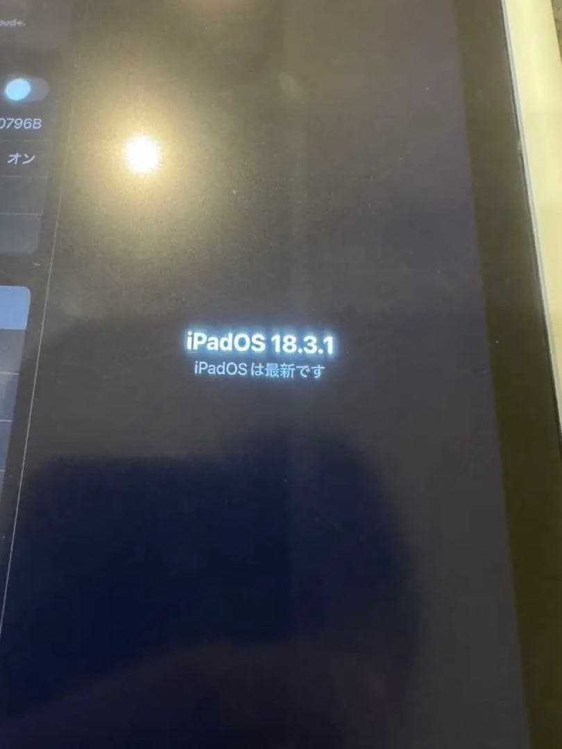 iPad mini セルラー 256 ブルー pencil pro AC＋加入