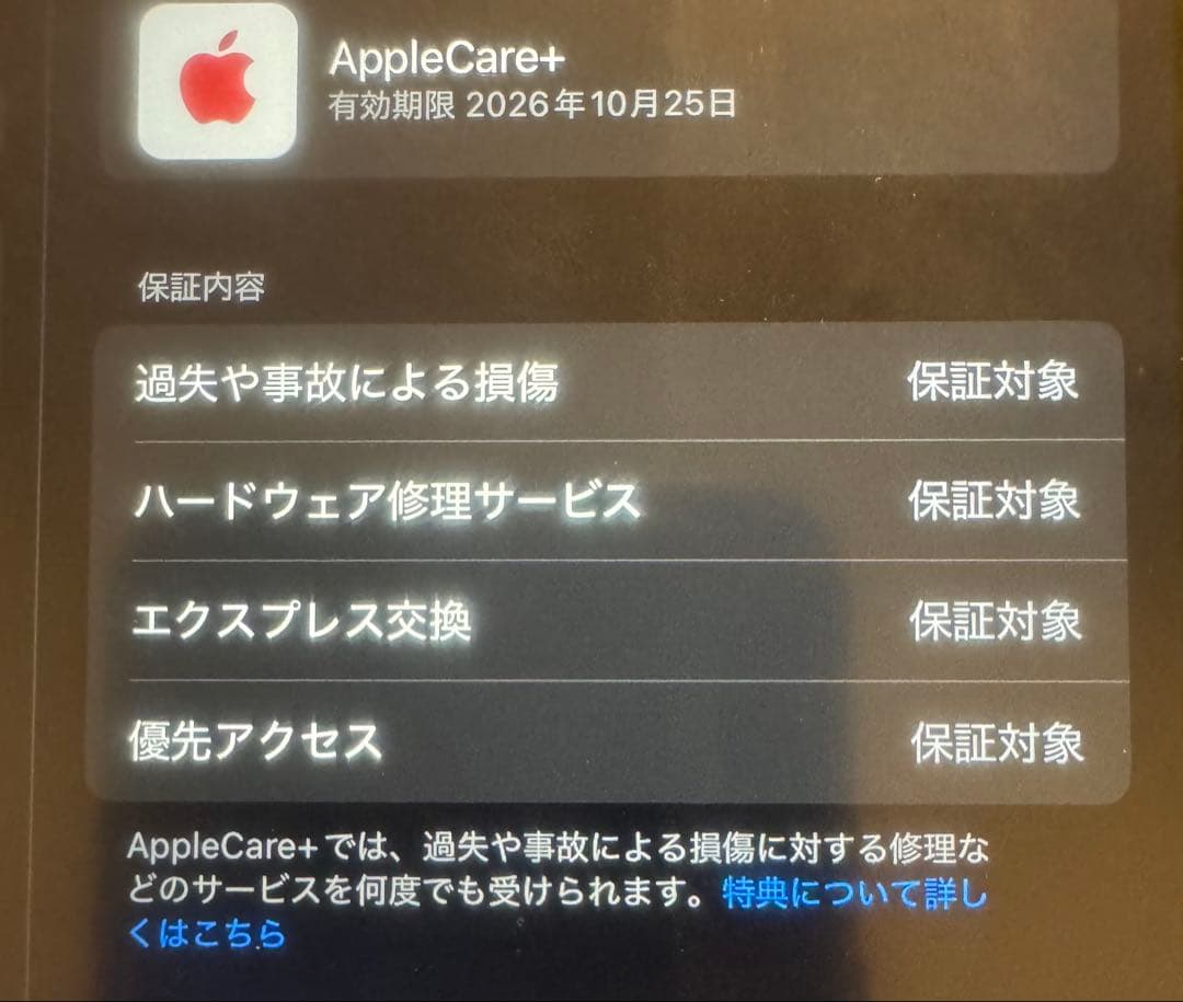 iPad mini セルラー 256 ブルー pencil pro AC＋加入