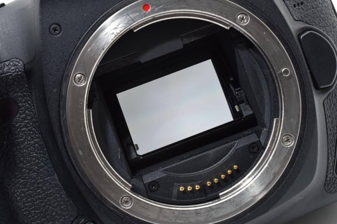 【極美品】キヤノン Canon EOS 5D Mark IV 一眼レフカメラ