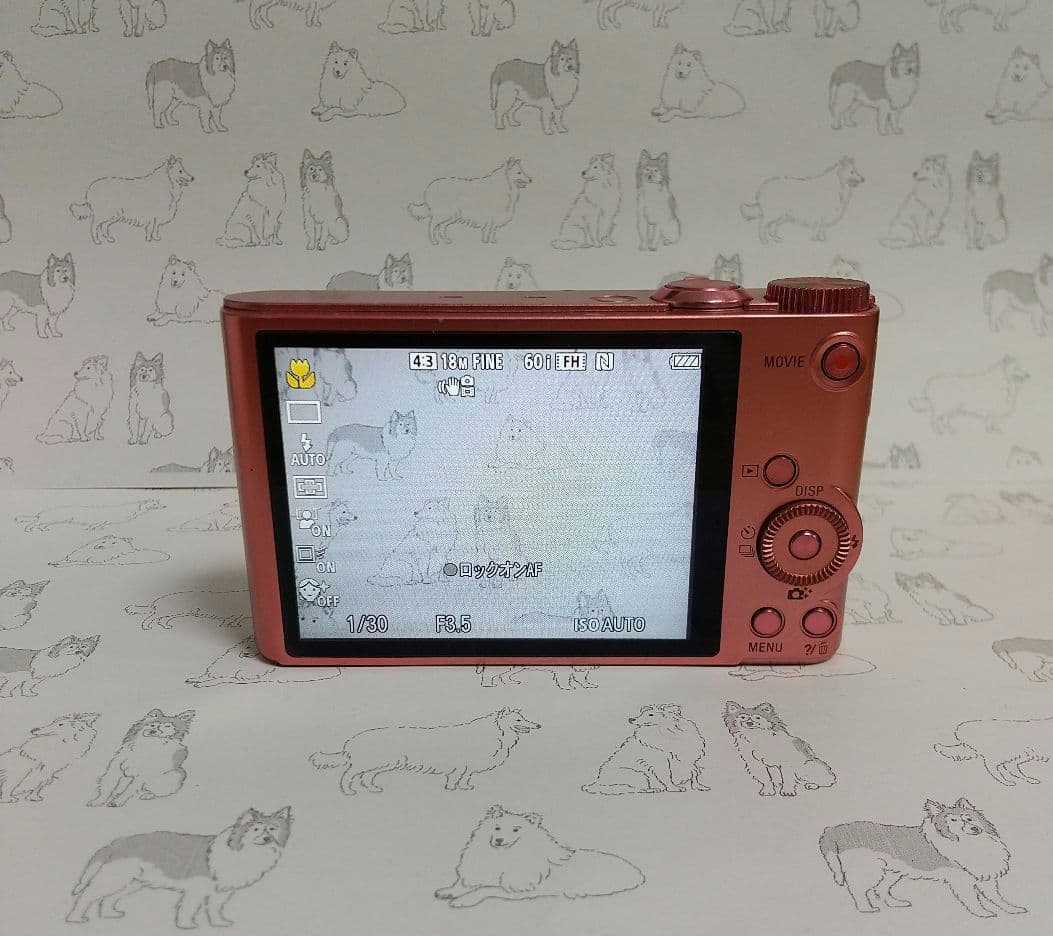 【RS77】SONY Cyber-shot DSC-ｗｘ350 デジカメ 本体