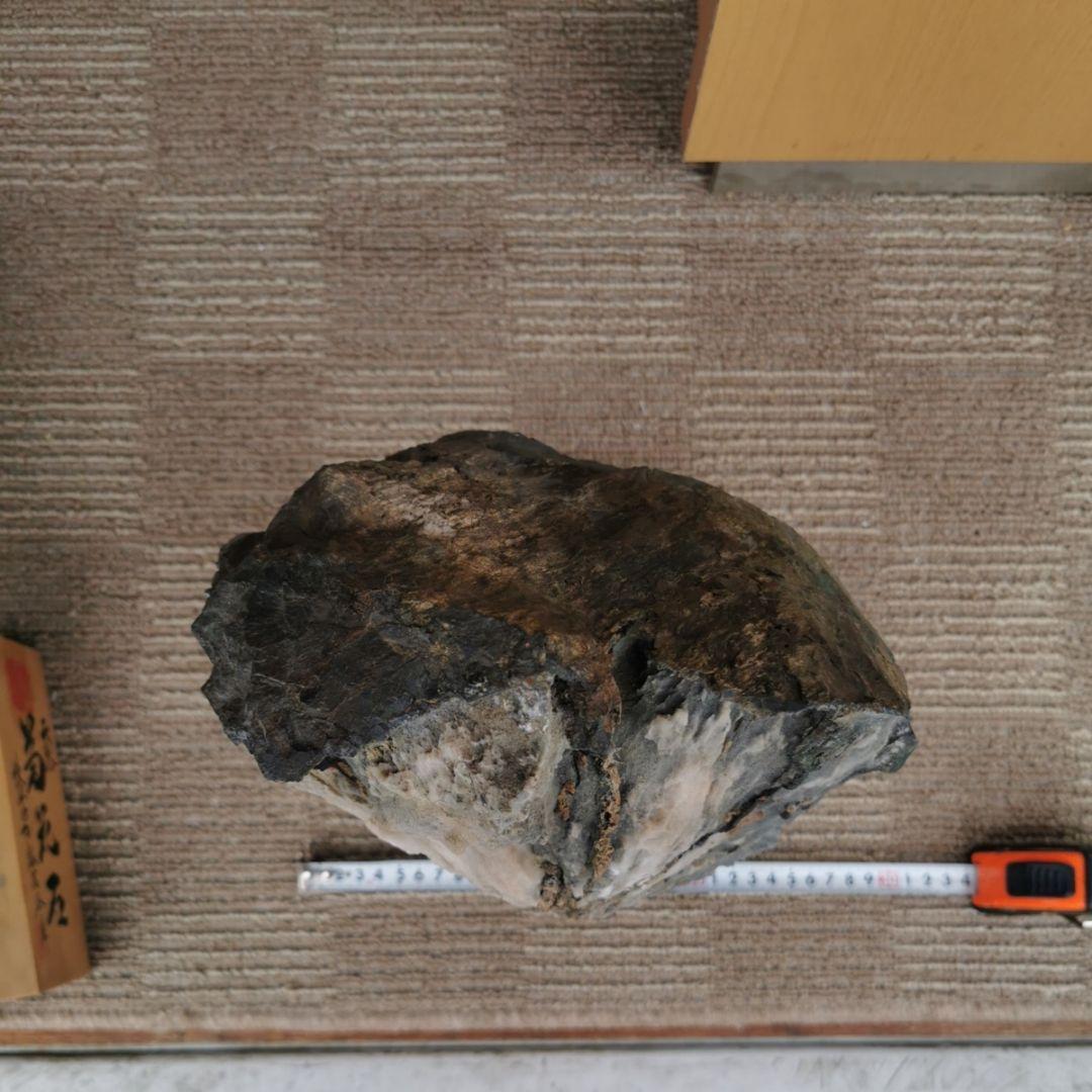 根尾谷産　牙菊花石　13.8キロ　菊花石　鑑賞石　石　置物　オブジェ　インテリア