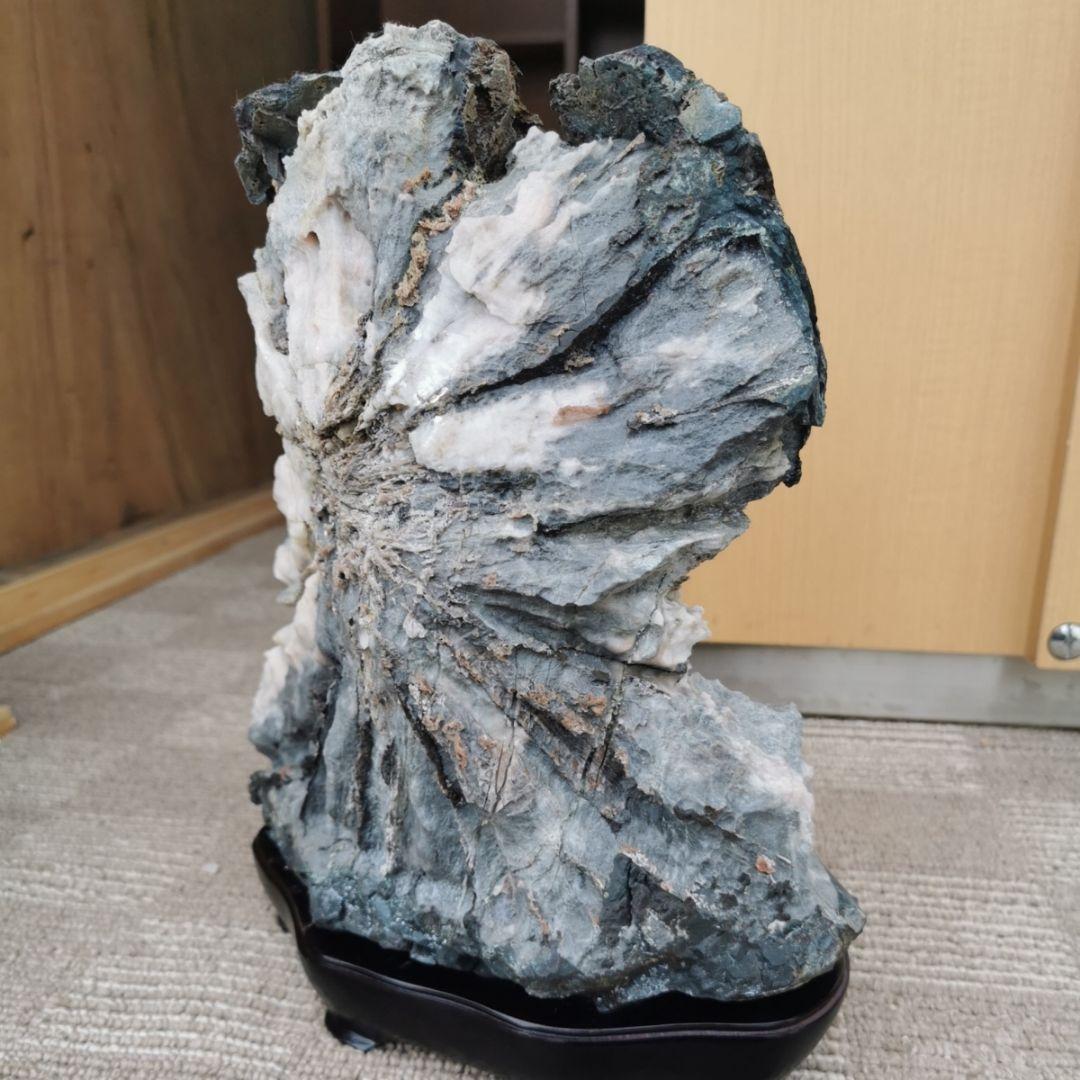 根尾谷産　牙菊花石　13.8キロ　菊花石　鑑賞石　石　置物　オブジェ　インテリア