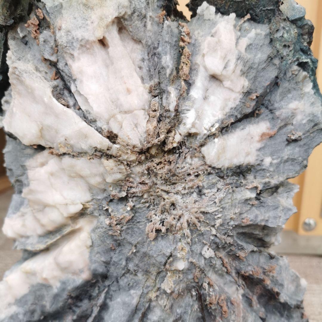 根尾谷産　牙菊花石　13.8キロ　菊花石　鑑賞石　石　置物　オブジェ　インテリア