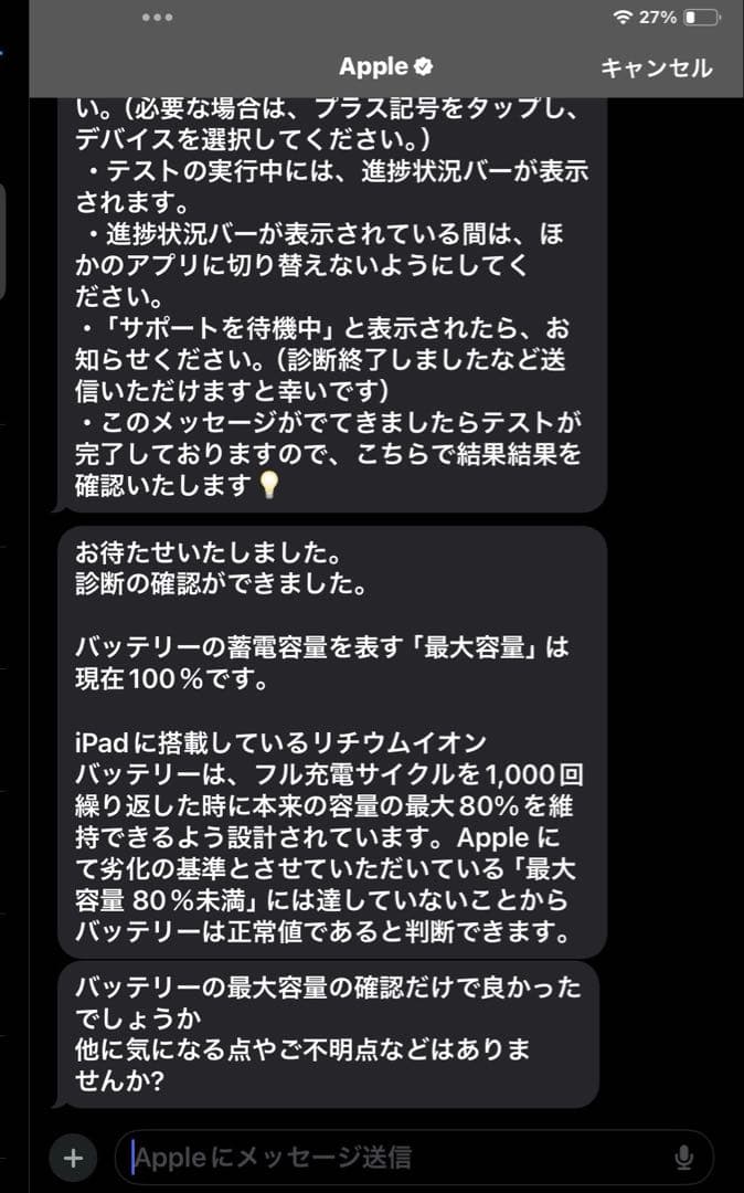 iPad第10世代 wifi 64GB ブルー 美品