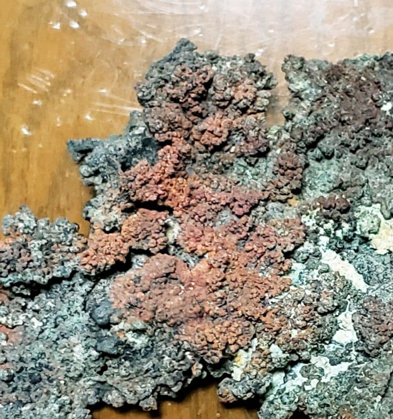 尾去沢鉱山の自然銅(父親は坑道掘りでした)