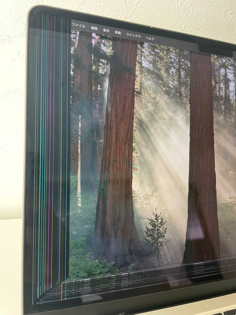 【ジャンク】美品 MacBook Air M2 8GB 256GB｜画面不良