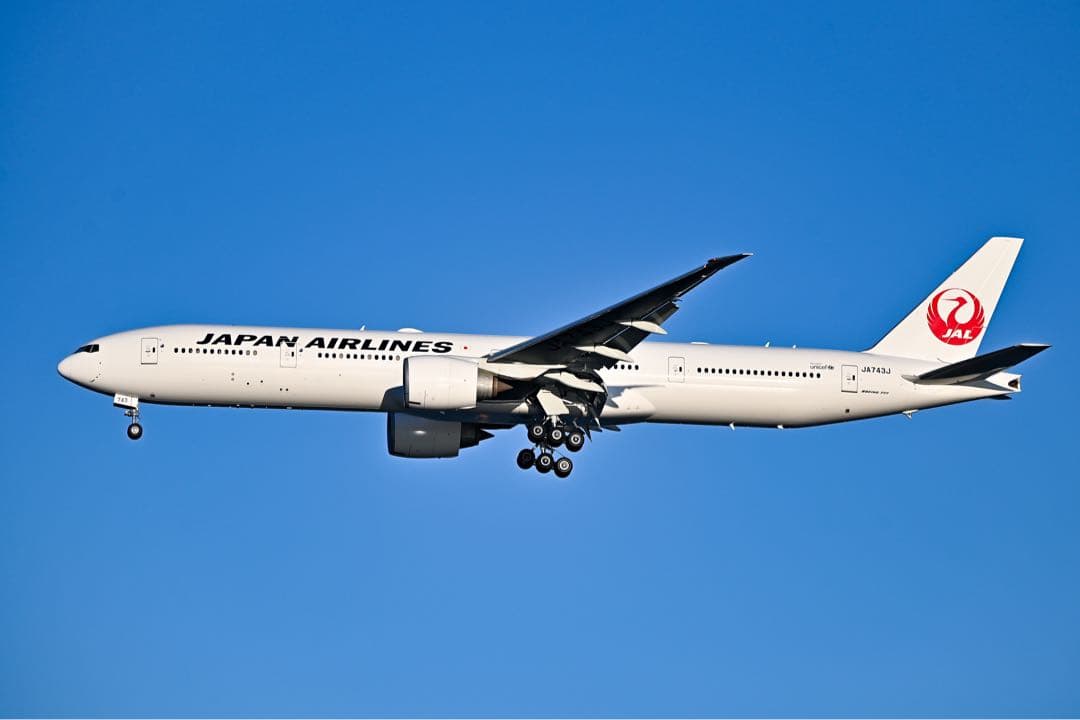 SIGMA　150-600mm F5-6.3 DG OS HSM Sports