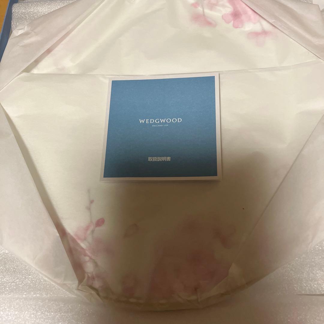  花柄皿 陶磁器 スプリングブロッサム27センチ２枚セット