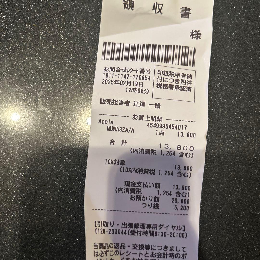 Apple Pencil USB-C アップルペンシルtypeC 純正品